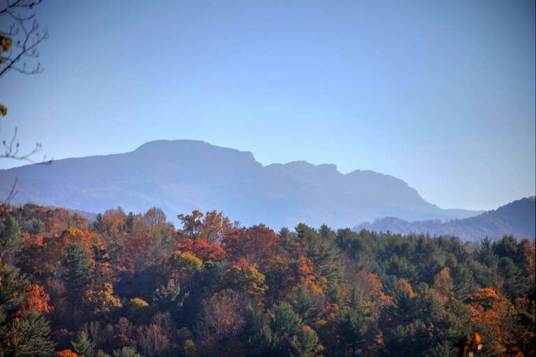 Views of Grandfather Mountain from Fire Pit