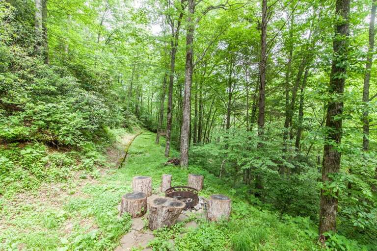 Wood-burning Fire Pit Steps Away for the Cabin