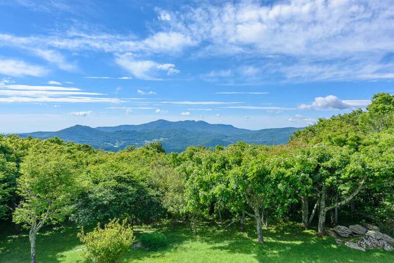 View from Elderberry Escape deck