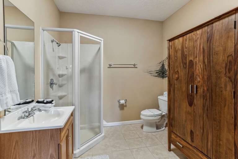 Lower Level Bathroom with Step-In Shower