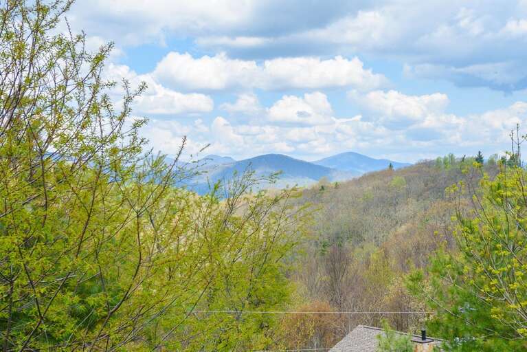 View from Flat Top Lodge