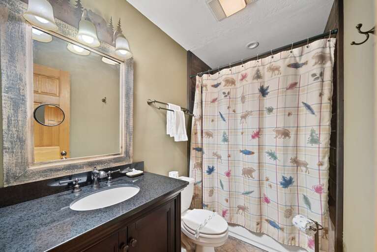 Full Upstairs Bathroom