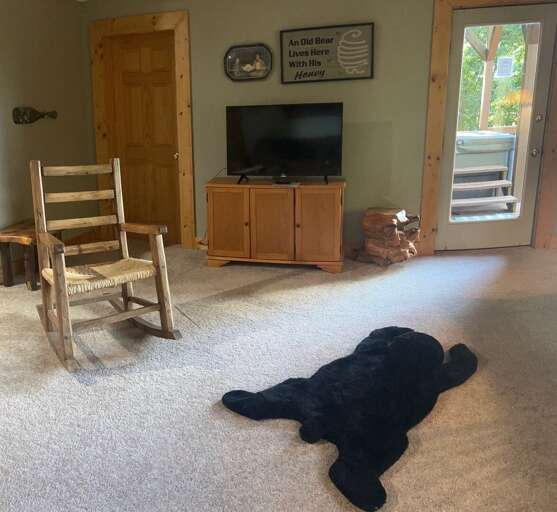 Lower Level Family Room