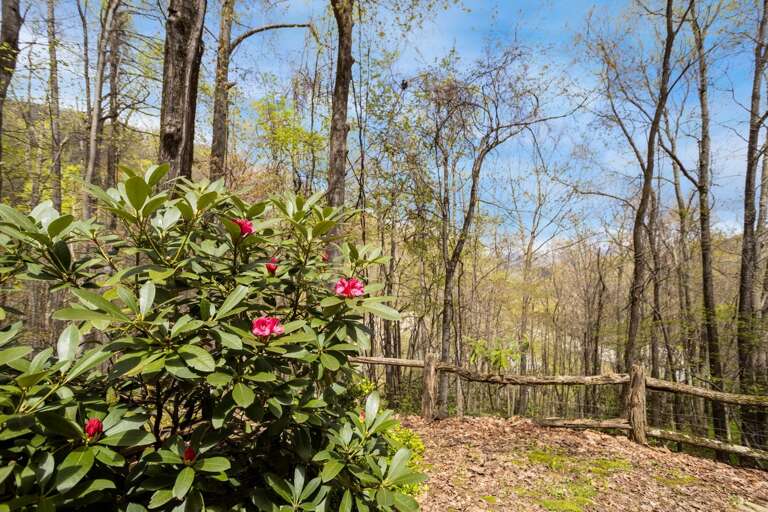 Grandfather Getaway in the Mountains