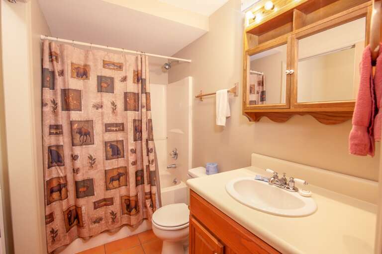 Downstairs Full Bathroom Downstairs Full Bathroom