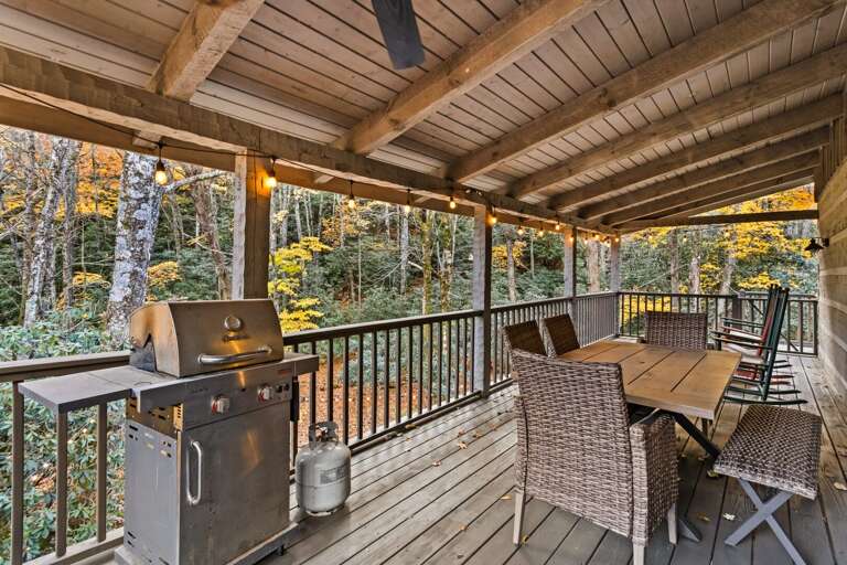 Gas Grill on the Back Main Level Deck Gas Grill on the Back Main Level Deck