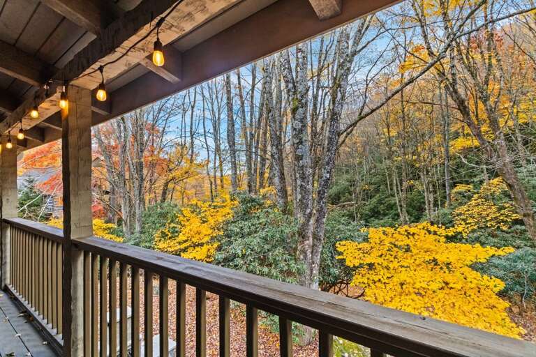 Wooded Fall Colors Wooded Fall Colors