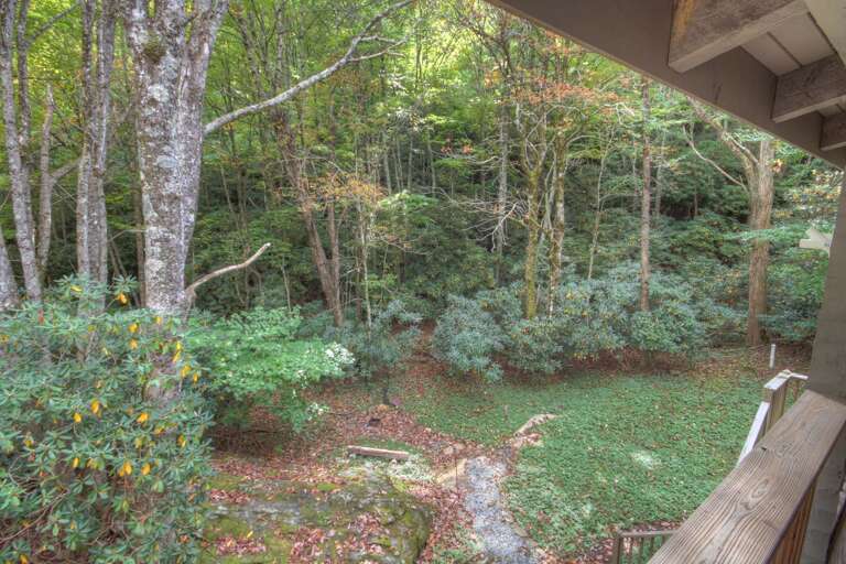 Wooded Setting Wooded Setting