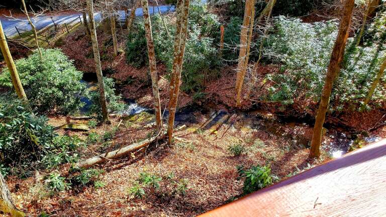 View of the Stream from Little Timber Deck
