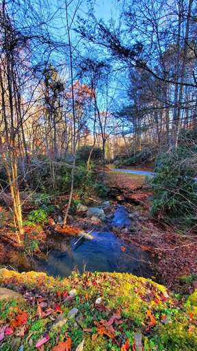 View of the Stream from Little Timber Deck