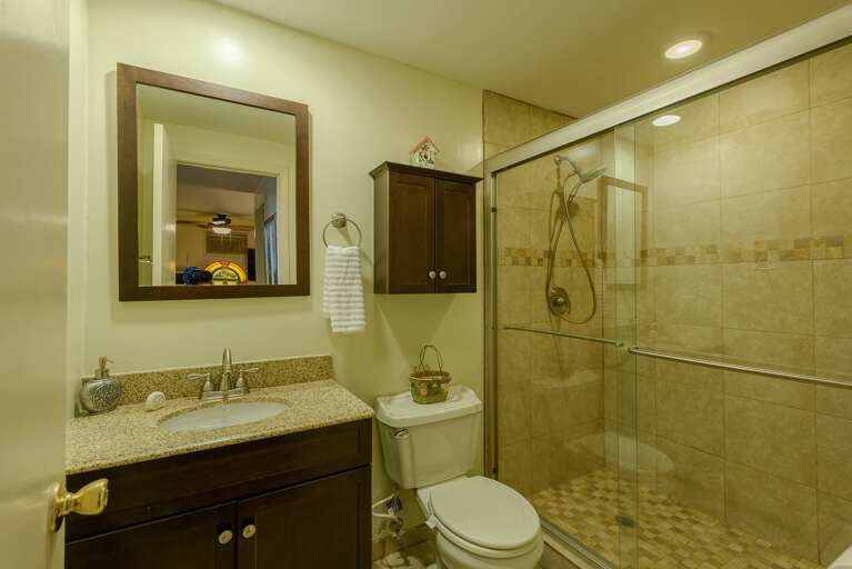Downstairs Bathroom with Over-sized Tiled Shower and Granite Vanity