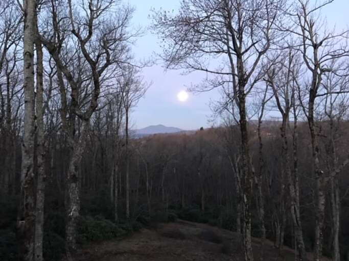 Book Your Mountain Stay Today at Majestic Mountain Hideaway!