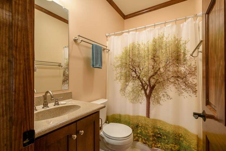 Main Level Hall Bathroom