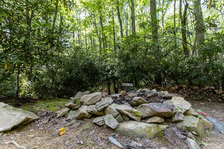 Outdoor Fire Pit and Trail to the Creek