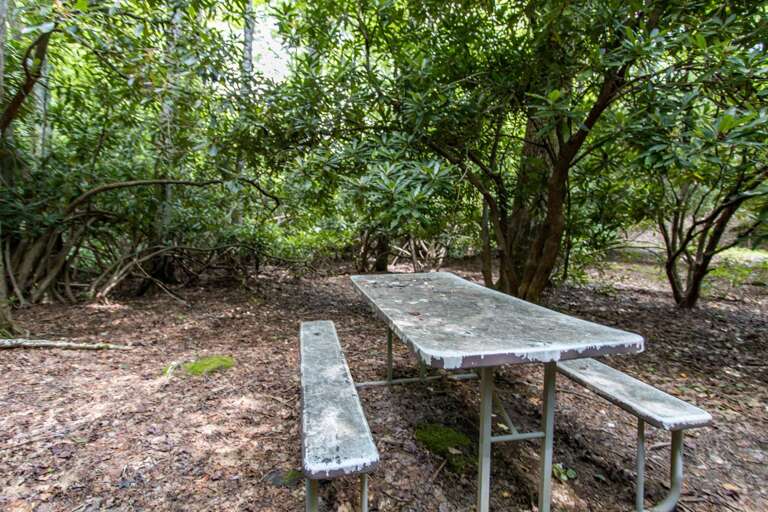 Picnic Table