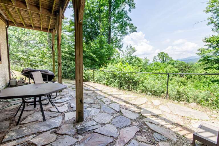 Lower Level Patio with Mountain Views and Wild Berries