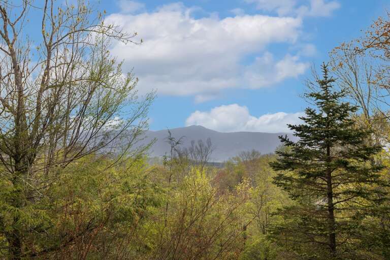 Mountain View from North View Lodge