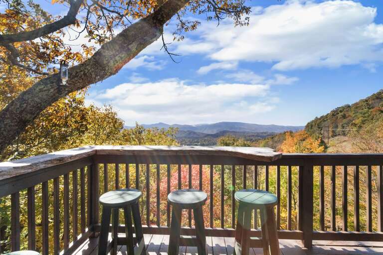 Custom Live Edge Slab Dining Counter Custom Live Edge Slab Dining Counter