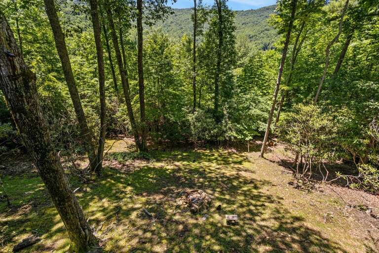 Spacious Wooded Yard with Wood Burning Fire Pit Spacious Wooded Yard with Wood Burning Fire Pit