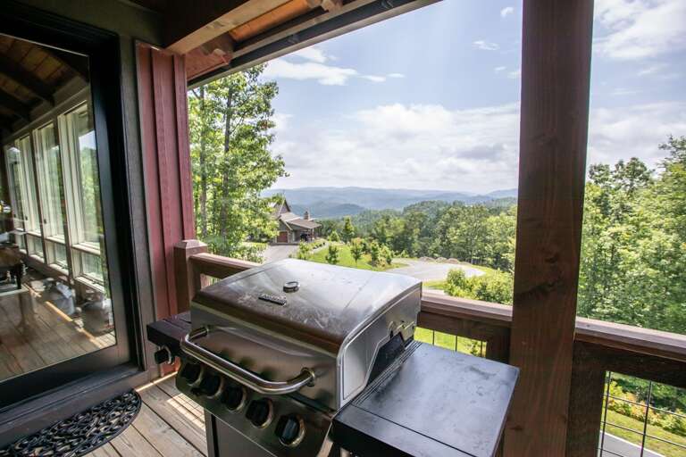 Outdoor Dining Table seats 8, Stainless Gas Grill Outdoor Dining Table seats 8, Stainless Gas Grill