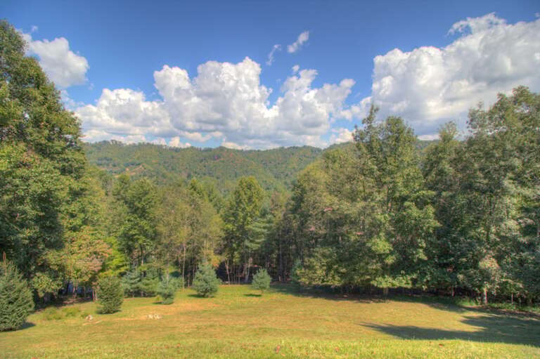View from Lower Patio Near the Hot Tub