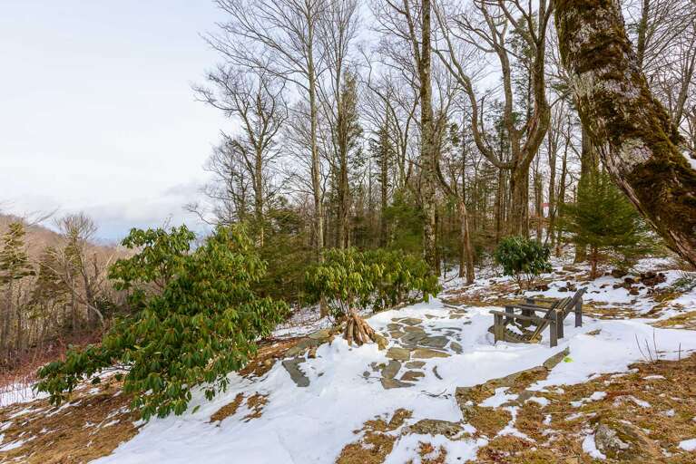 Fire Pit and Views on a Winter Day