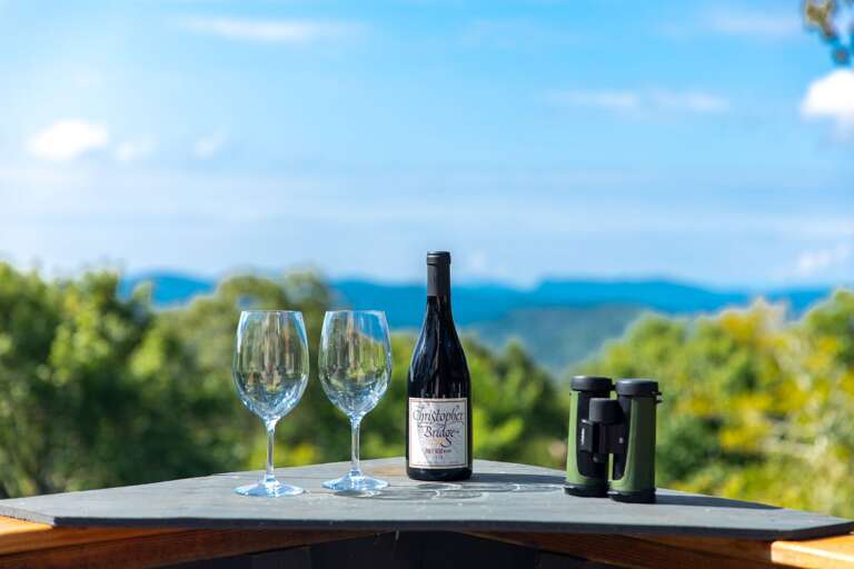 Welcome to Sugar Mountain Escape!