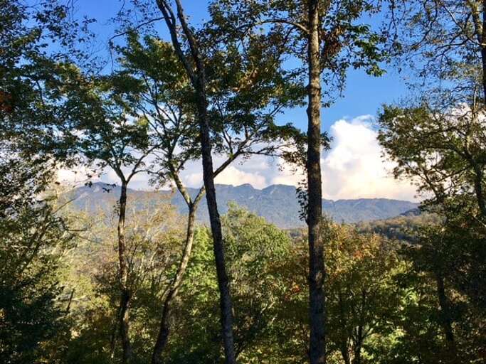 Mountain Views from Sugar Tree Getaway, They Get Better in Winter! Mountain Views from Sugar Tree Getaway, They Get Better in Winter!