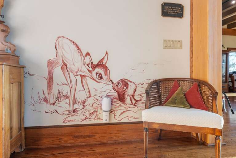 Discover the Disney Magic and Theme all around the Lodge