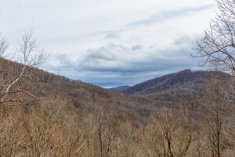 Long-Range Views from WIldlife Manor