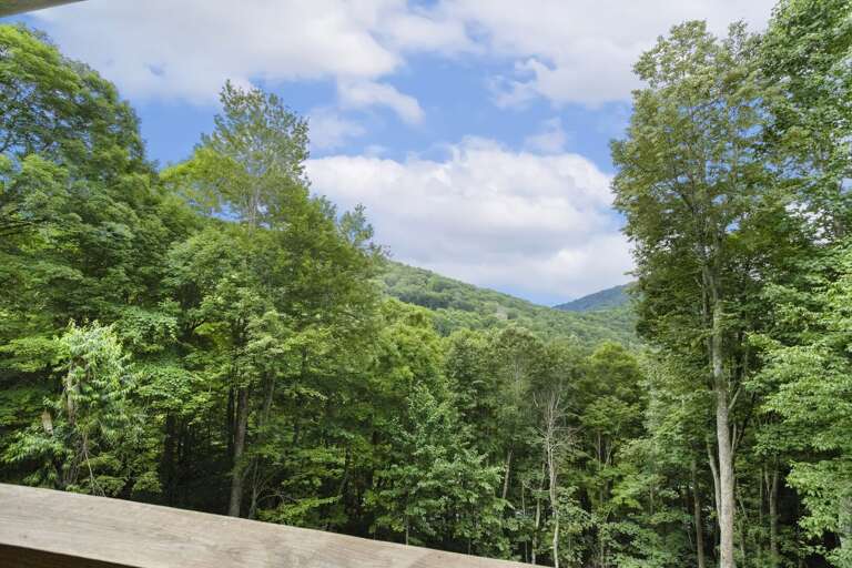 Long-Range Views from Wildlife Manor