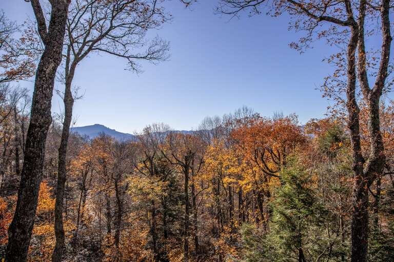 Long Range Views from Grandfathered Inn