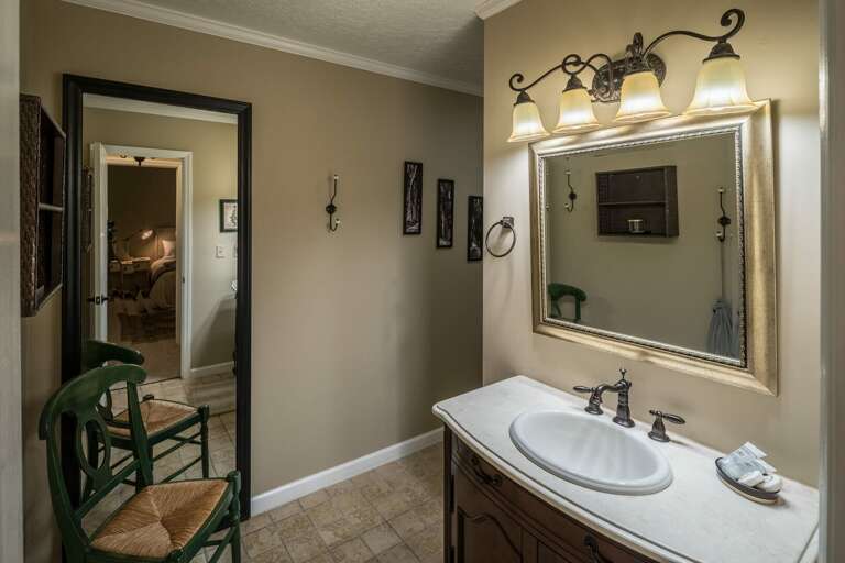 Lower level full bathroom