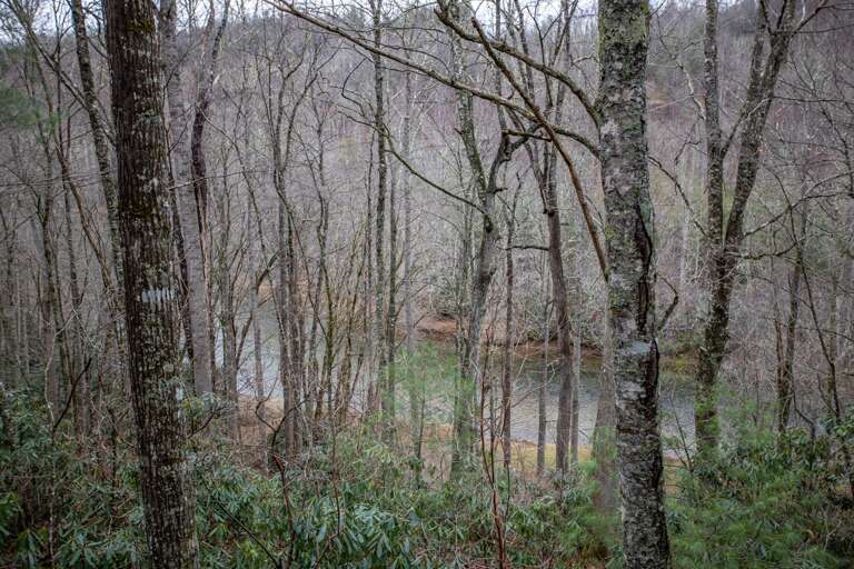 Look Down at the New River from the Cabin