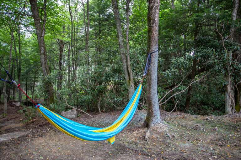 Hammock in Wooded Yard!