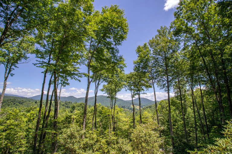 Amazing Mountain Views showing off Elk Ridge, and the peaks of Bald Mtn, Rich Mtn, and Laurel Knob Mtn!