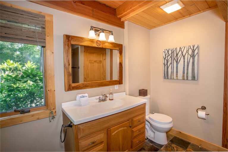 Vanity and Toilet in Master Bathroom