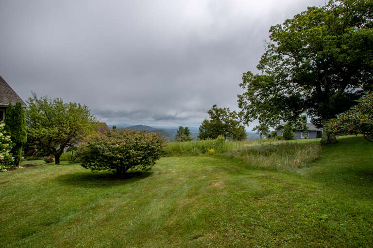 Side Yard is Level, Landscaped, and is often visited by local wildlife!