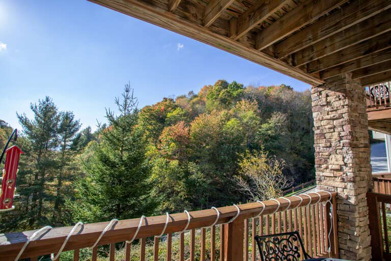 Views from the Covered Porch