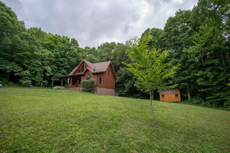 Large Yard Large Yard