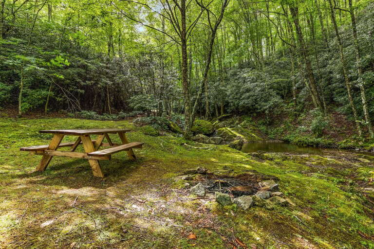 Creekside Picnic Table by the Swimming Hole