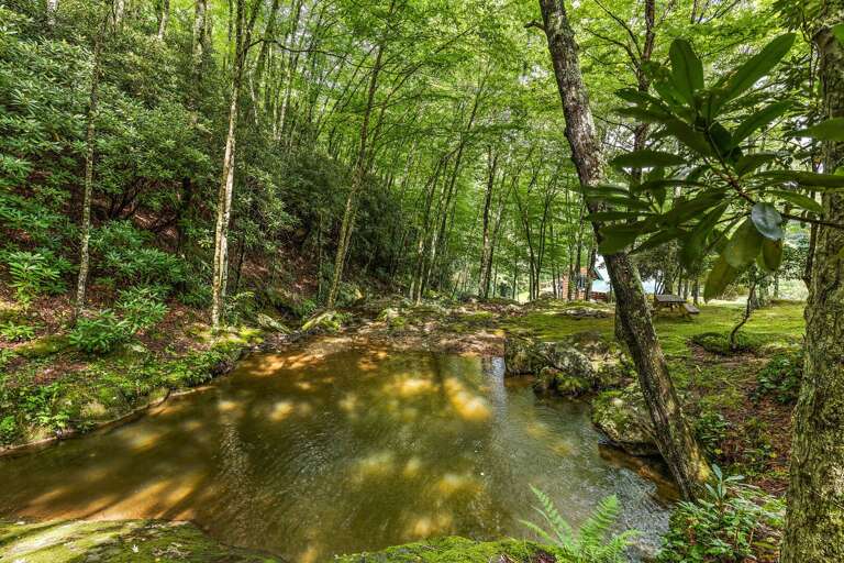 Dipping Hole in the Creek Above the Cabin