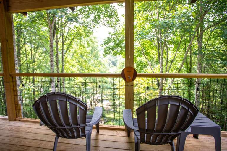 Wooded Summer View Wooded Summer View
