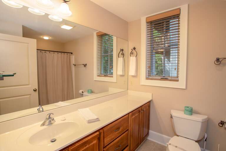 Lower Level Bathroom