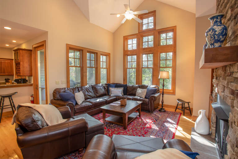 Vaulted Bright and Airy Living Room