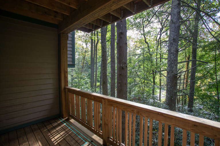 Wooded View From the Lower Deck