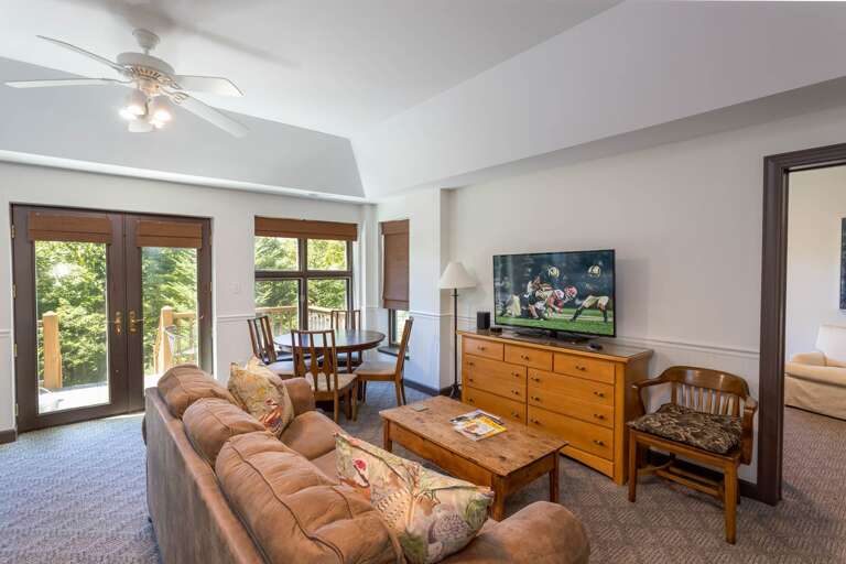 TV in Lower Level Den