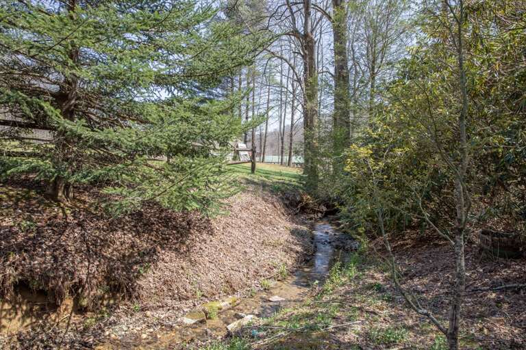 One of many creeks which crisscross the Happy Apple grounds