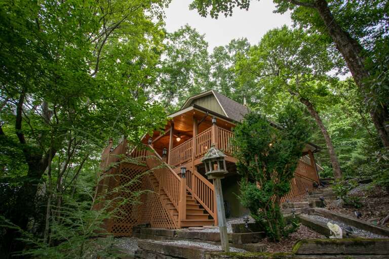 Looking Up at Have No Regrets from Back Yard