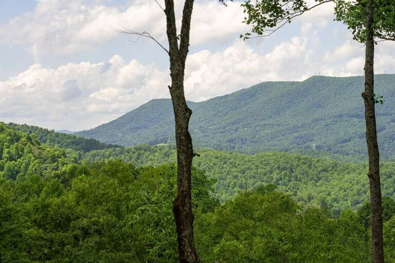 Newly Opened Up Mountain View